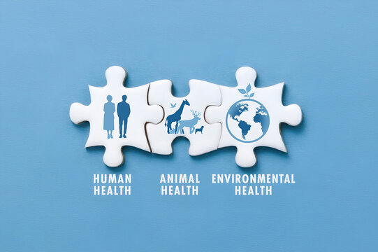 Jigsaw puzzle pieces on blue background with icon, the words symbolize the interconnection of human health, animal health, and environmental health. One health concept of a clean, healthy environment