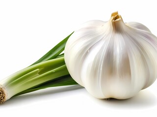 Garlic isolated on white background, kitchen herb, spice, food flavoring