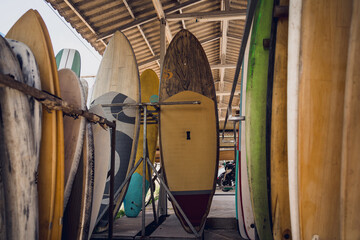 A variety of surfboards are neatly displayed on a stand