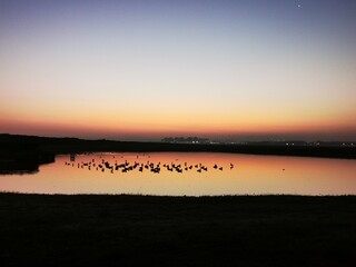 L'aube d'un nouveau jour