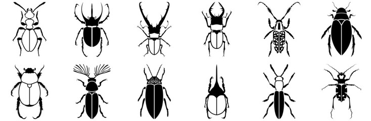 Mega Set Of Vector Beetle Garden Icons Collection Isolated Silhouette Solid Icons Including Beetle,Bug,Cyclommatus-Stag,Insect,Deathwatch-Beetle Business Infographic Elements Logo Vector Illustration