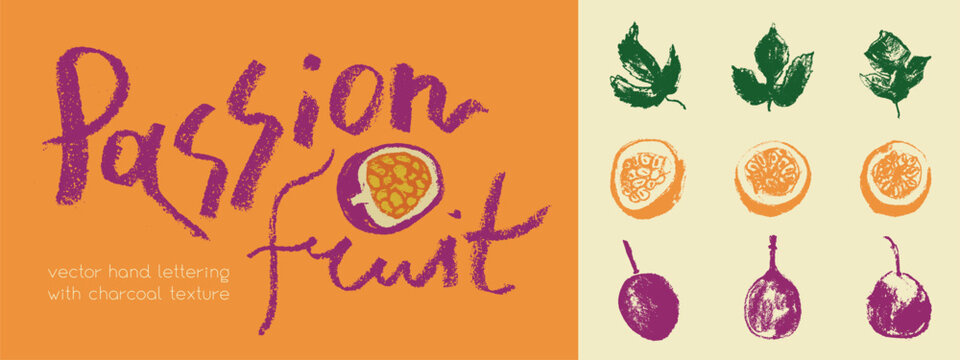 Passion fruit vector drawing in hand drawn style with rough charcoal and graphite texture. Color granadilla symbol for cosmetics, yogurt packaging, fruits puree labels. Hand lettering passion fruit