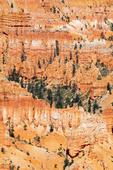Bryce canyon