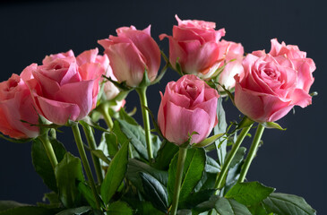 A closeup of beautiful pink roses in a vase 