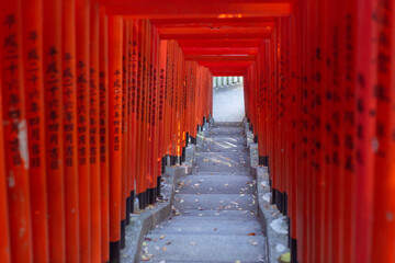 a narrow stair path of a lot of torii gates in Hie shrine in nagatacho, tokyo