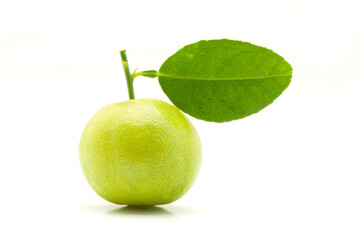 Close-up of fresh green organic lemon (Citrus limon) with leaf isolated on a white background.