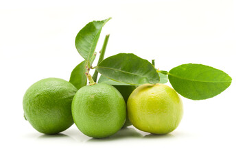 Close-up of three fresh green organic lemons (Citrus limon) with leaves isolated on a white background.