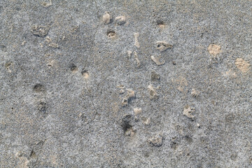 Beachrock is a friable to well-cemented sedimentary rock that consists of a variable mixture of gravel-, sand-, and silt-sized sediment. fragments of coral and shells . Geology of Oahu Hawaii
