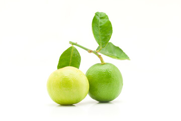 Close-up of two fresh green organic lemons (Citrus limon) with leaves isolated on a white background.