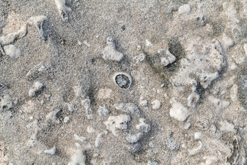 Beachrock is a friable to well-cemented sedimentary rock that consists of a variable mixture of gravel-, sand-, and silt-sized sediment. fragments of coral and shells . Geology of Oahu Hawaii
