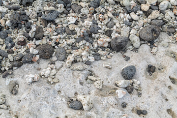 Beachrock is a friable to well-cemented sedimentary rock that consists of a variable mixture of...