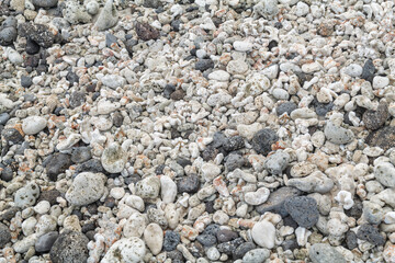 basalt gravel pebble、fragments of coral and shells on the beach.  Kaloko Beach, Oahu Hawaii....