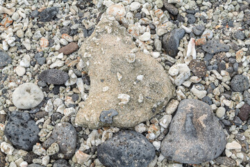 Beachrock is a friable to well-cemented sedimentary rock that consists of a variable mixture of basalt gravel , sand , and silt-sized sediment. fragments of coral and shells . Geology 
