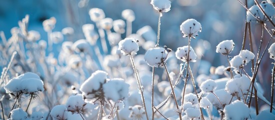 Winter Wonderland Scene with Snow Covered Plants Generative AI