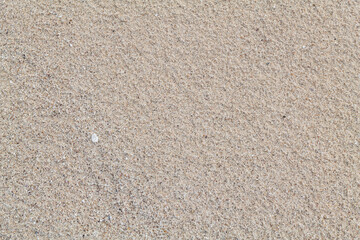 Calcareous fragments of coral and shells on the white sand beach， Kaloko Beach, Oahu Hawaii. ...