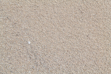 Calcareous fragments of coral and shells on the white sand beach， Kaloko Beach, Oahu Hawaii.  Beach deposits	