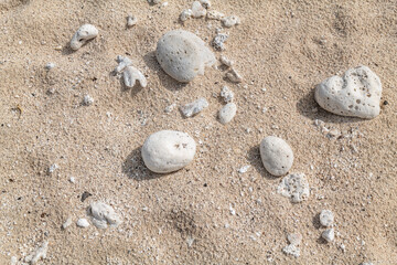 Calcareous fragments of coral and shells on the white sand beach， Kaloko Beach, Oahu Hawaii.  Beach deposits	