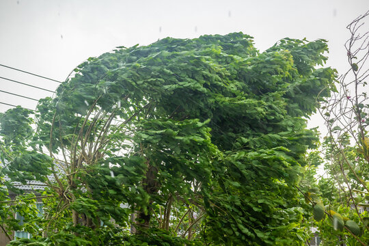 storm with heavy rain and strong winds