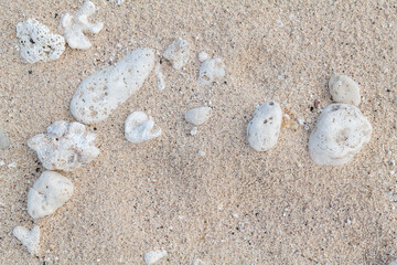 Calcareous fragments of coral and shells on the white sand beach， Kaloko Beach, Oahu Hawaii.  Beach deposits	