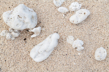 Calcareous fragments of coral and shells on the white sand beach， Kaloko Beach, Oahu Hawaii.  Beach deposits	
