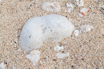 Calcareous fragments of coral and shells on the white sand beach， Kaloko Beach, Oahu Hawaii.  Beach deposits	