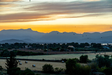 Abendrunde durch die antike Altstadt von Alcúdia inkl. einen fantastischen Sonnenuntergang auf der Balleareninsel Mallorca - Spanien