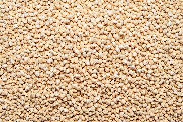 Fototapeta premium Close up of uncooked chickpeas