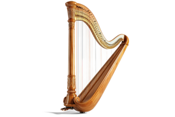 Elegant Wooden Harp