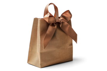 Elegant Bronze Gift Bag with Ribbon