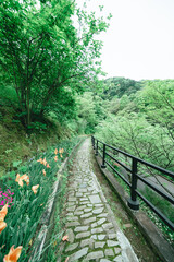 熱海の公園の風景