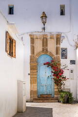 Behind the Blue Door