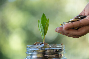Concept of saving money and wise investment in finance drives the growth of a business, reflecting...