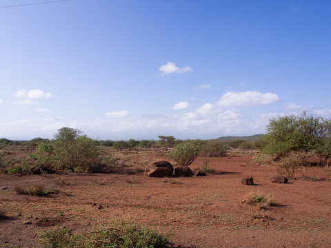 Fototapeta Kenia - safari