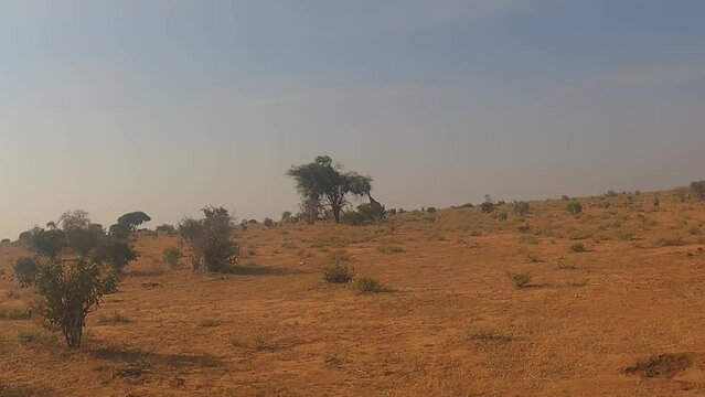 Safari Tour im Tsavo East National Park (Kenya)