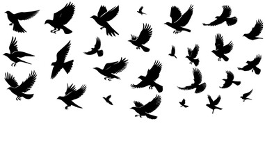 A flock of flying birds. Vector illustration, silhouettes of birds