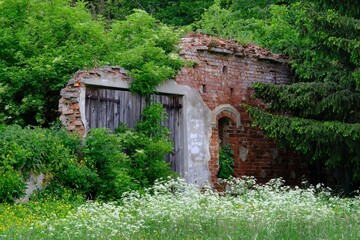 Old brick ruin among green bushes is spring scenery