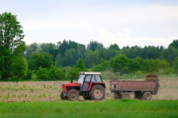 Fototapeta premium A red tractor with a trailer drives through a plowed field