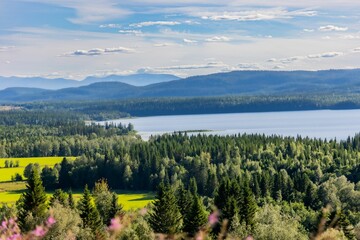 Fototapeta premium a view over a lake and a forest area, mountains in the distance