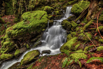 Small waterfall cascading down the rocky bluffs near Comox Lake in British Columbia, Canada