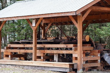 an image of a well - built wooden structure in the woods