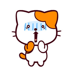 ジョックを受けたコミカルなネコ