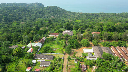 Beach with lush palm trees and crystal-clear water, south of sao tome