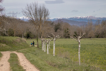 Path winding through a meadow near trees, Vall den Bas valley in Catalonia