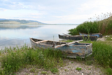 several empty boats in grass and dirt by the water on shore