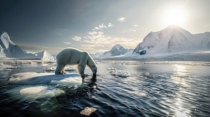Polar bear on an ice floe in the Arctic, amidst a dramatic sunrise with sprawling snowy mountains and vast icy waters.