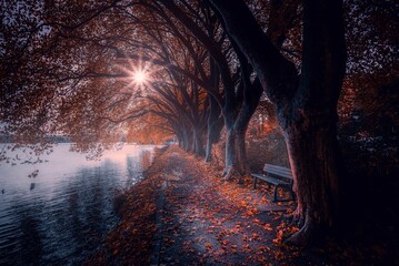 a bench by the water and a bench in the distance