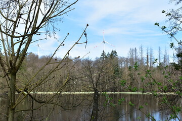 Wind power plants in forests and woodlands in Hesse