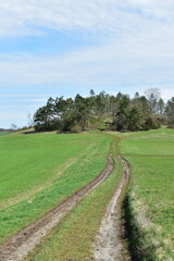 Hiking in the mountain landscape of northern Hesse