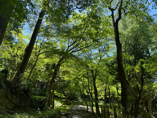滋賀県　百済寺の風景