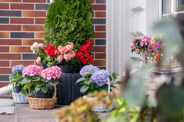 near the flower a shop there are baskets with different street flowers store design